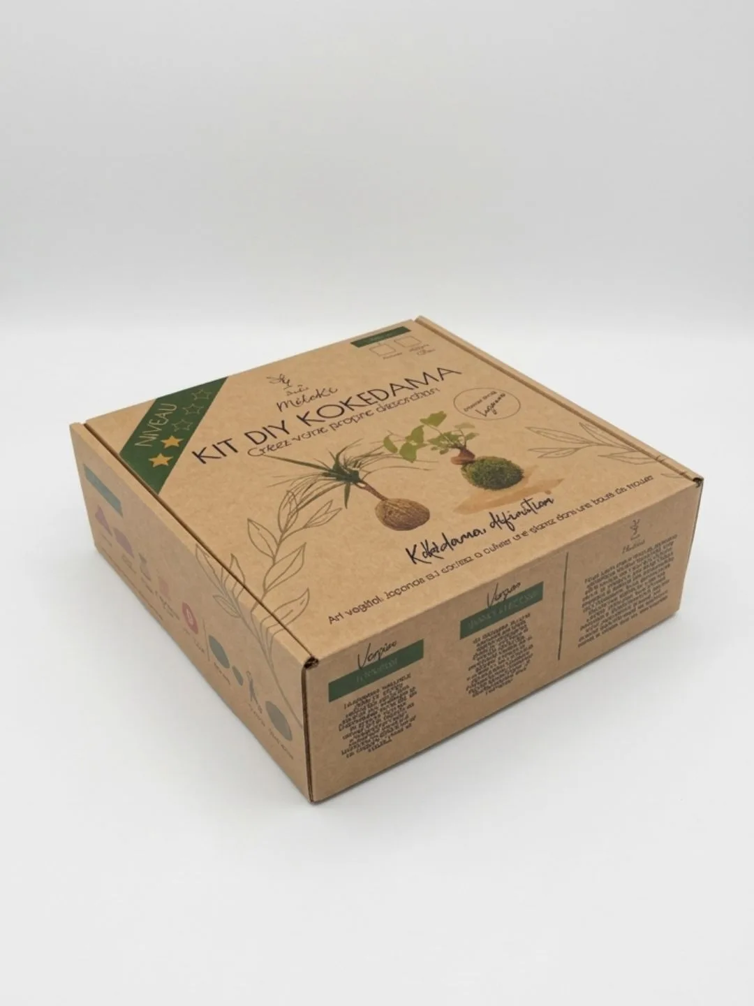 Kit DIY kokédama, boîte fermée prête à offrir - Méloké