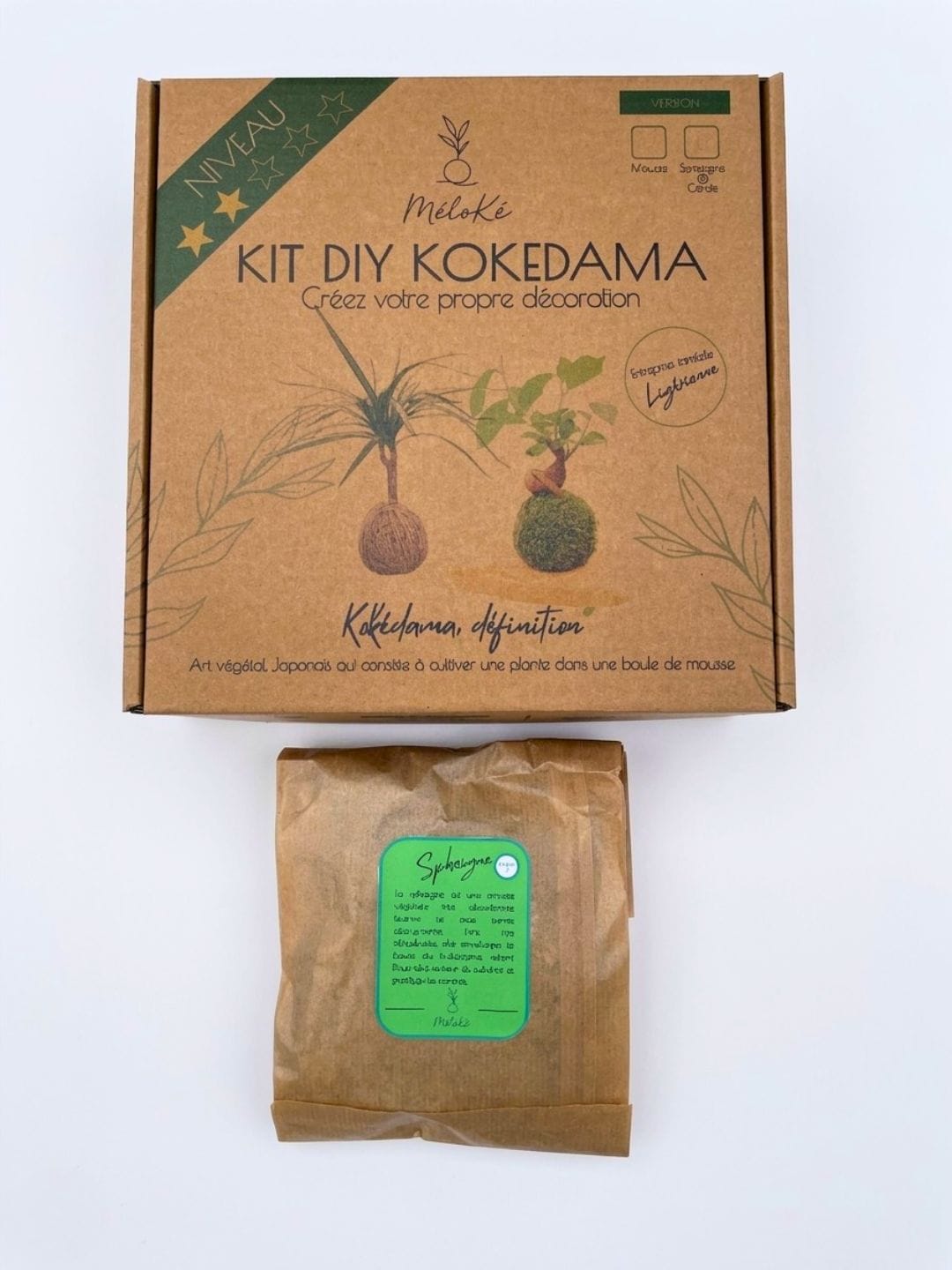 Kit Kokédama Sphaigne