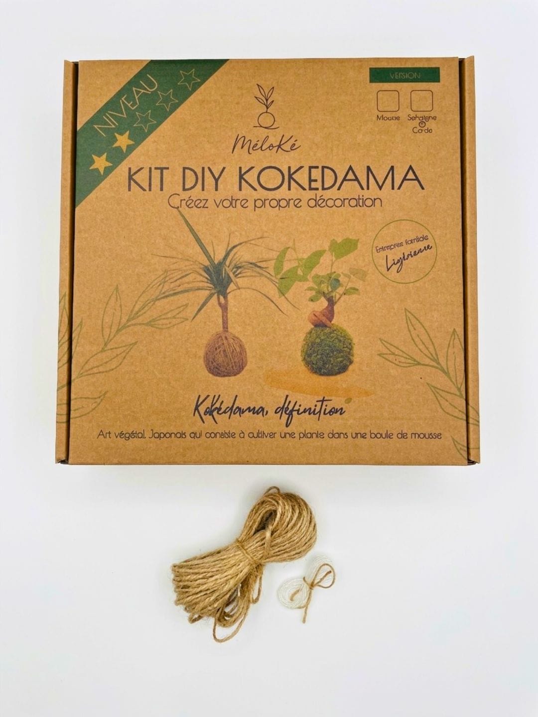 Kit Kokédama Ficelle et Corde