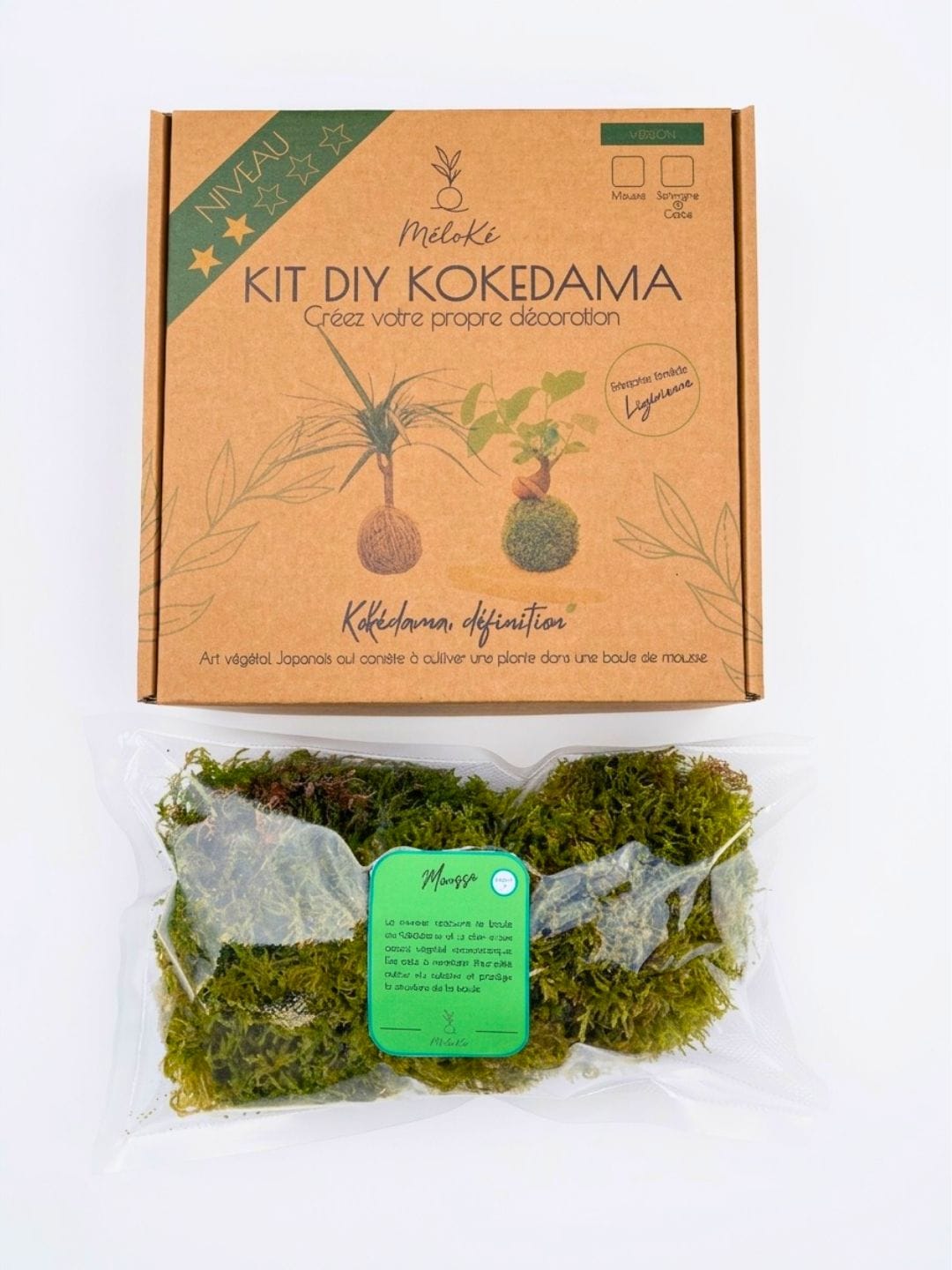 Kit Kokédama Mousse Fraiche