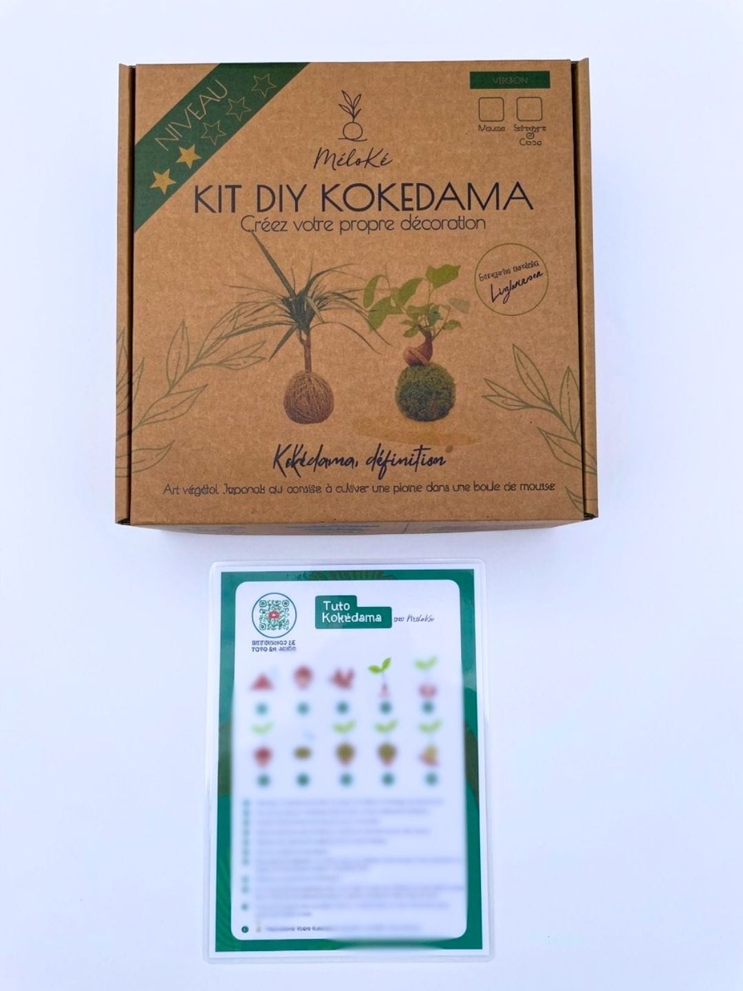 Kit Kokédama Tuto PDF