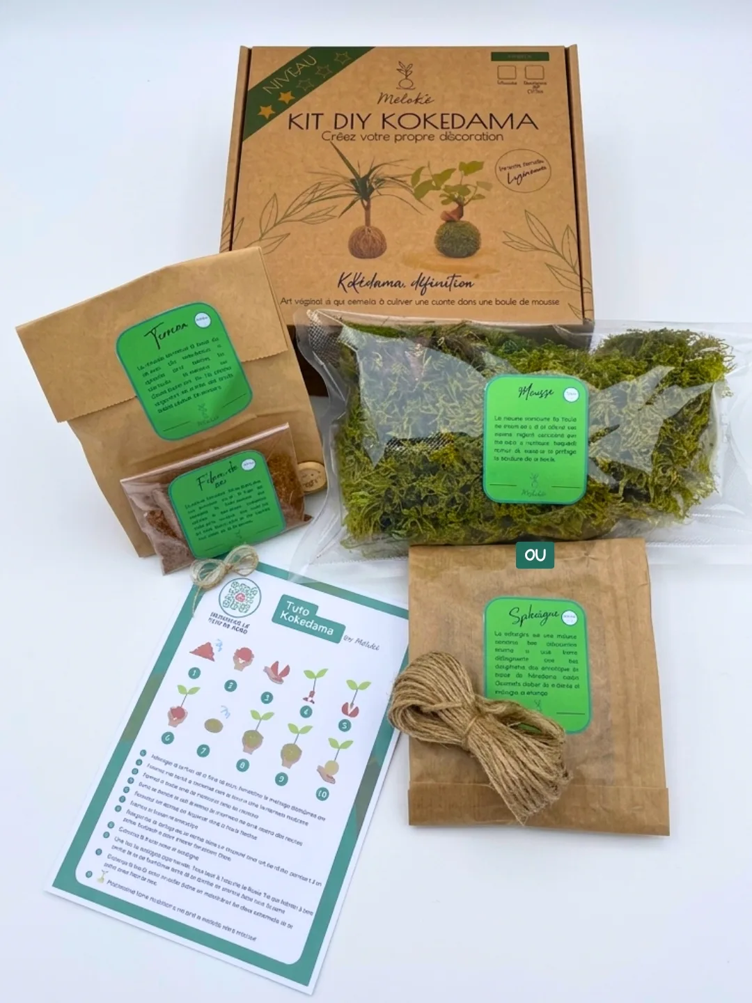 Kit DIY kokédama complet avec matériel inclus - Méloké