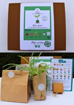 Présentation kit DIY