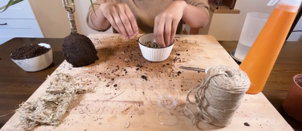 main réhydratation sphaigne pour création kokedama