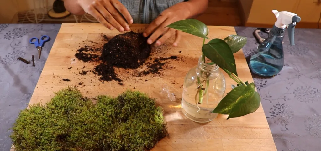 Mains mélangeant le terreau et la fibre de coco sur une planche en bois pour préparer un kokédama